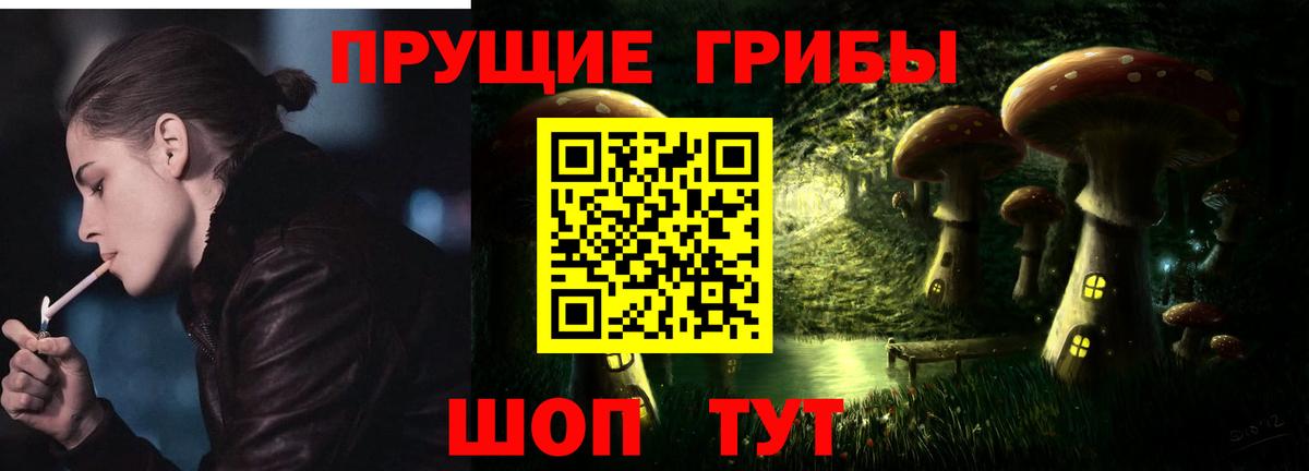 Вольск  Псилоцибиновые грибы GOLDEN TEACHER  Вход с VPN  Галлюциногенные грибы GOLDEN TEACHER 